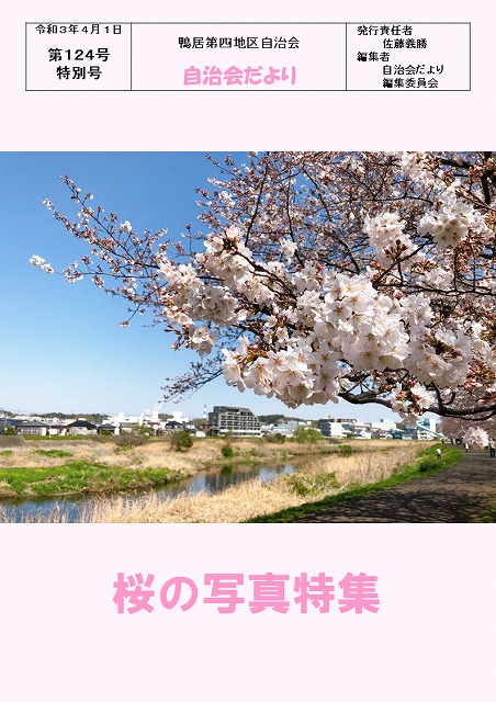 桜